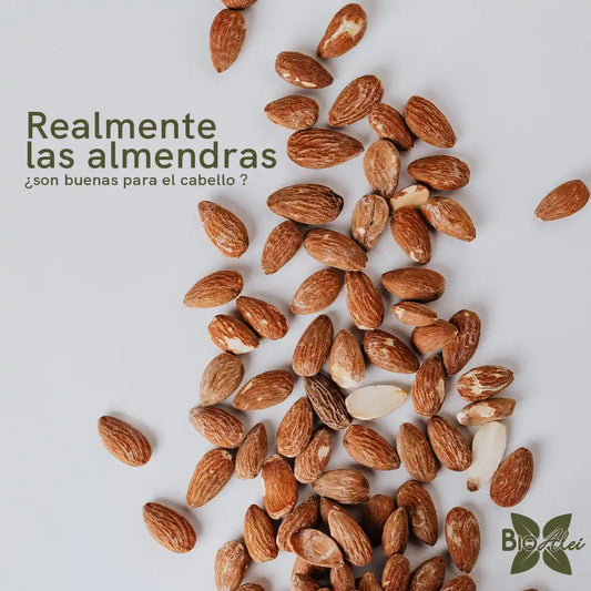 ¿REALMENTE LAS ALMENDRAS SON BUENAS PARA EL CABELLO?