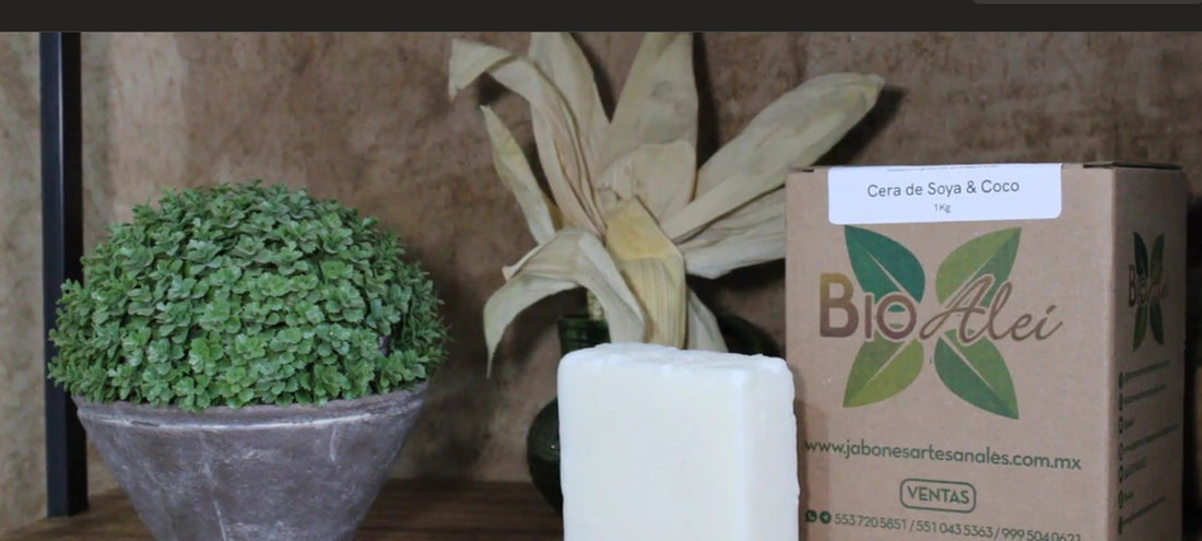¿Qué es la cera de soya y coco?