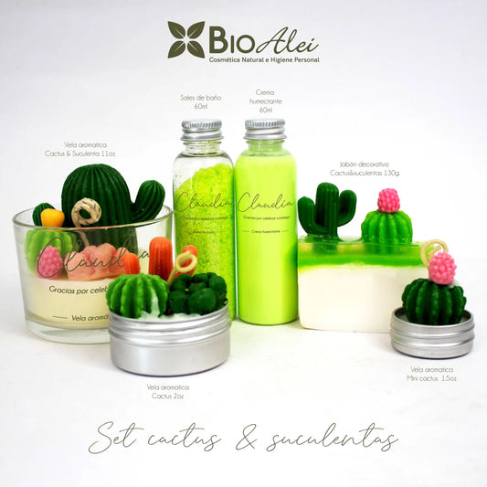 Set Cactus & Suculentas