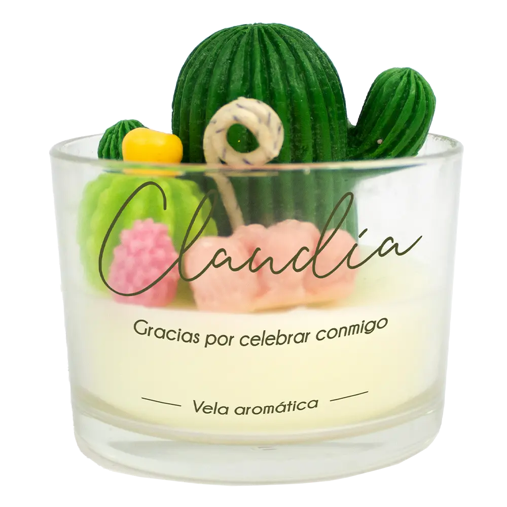 Set Cactus & Suculentas